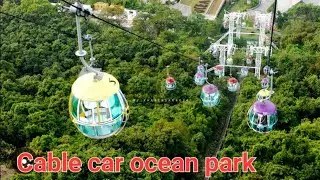 Breathtaking Cable car ride Ocean Park Hongkong