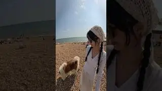 Я взяла свою собаку на пляж! #шортынаyoutube #хаски #пляж #брайтон #шорты #путешествие #вирусный ...