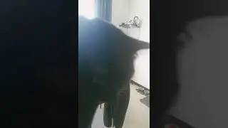 Le pain est pr&ecirc;t