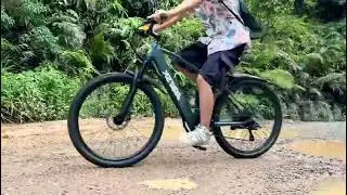 Electric Bike for Adults with Peak 750W Brushless Motor,40Miles