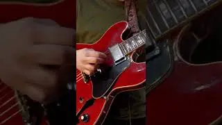 Это что, женский тон Эрика Клэптона?! #шорты