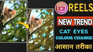 New creative cat eyes with body colour change#ashtechediting#picsart#editingtutorial