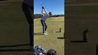 Mason Iron Swing   Seminole Legacy