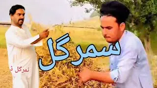 Samar gull comedy drama kurram vines funny drama kurram vines 