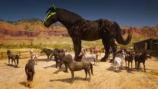 Extraordinary Adventures with Champion Horses | Arthur's Unique Horse Taming Adventures