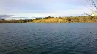 Shadow Cliffs Lake Trout Fishing in Pleasanton