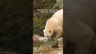 &ldquo;Only 1 in a Trillion 🐻 | The Cutest Rare Bear Encounter Ever Caught on Camera&rdquo;