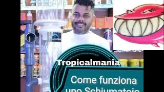 Schiumatoio. Come funziona uno schiumatoio?