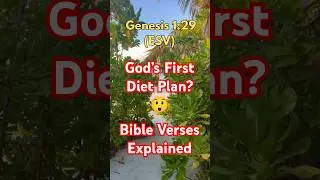 God&rsquo;s First Diet Plan? 😲 | Genesis 1:29 | Bible Verses Explained