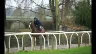 Kauto Star - Goodbye.