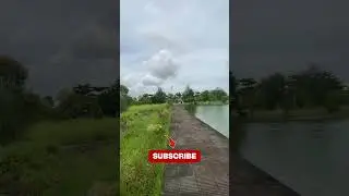 ভাই একটা Subscribe করেন প্লিজ🙏🥹 #short #viral #natural