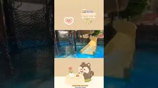 #59 #short #video 15 Big Bucket Tree House Slide||Adventure Cove Waterpark Singapore ||Vacation
