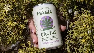 Product Development&mdash; with a Purpose: The Story Behind Magic Cactus