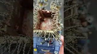 A Cruel Deception! ULTRAMARINES RHINO??! Warhammer 40K