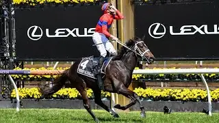 2021 Melbourne Cup winner Verry Elleegant dies
