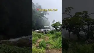 Bandaje waterfalls trek #bandaje #travel #waterfalls #chikmagalur #trekking #trekkingvlog #bangalore