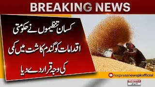 Farmers Blame Government Policies for Decrease in Wheat Cultivation | Pakistan News | Breaking News