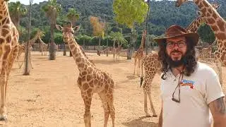 World Giraffe Day 2021