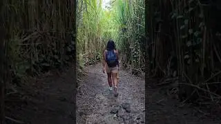 A must hike in La Fortuna✨ #lafortuna #hikecostarica #volcanoviews #itoeatz #explorecostarica #fyp