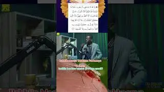 Islamic perspective about mosquitoes 