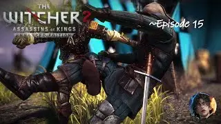 The Witcher Assassins of Kings 15 Against the Blue Stripes