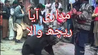 Madari aya | funny video | bear dance | by sohail tv