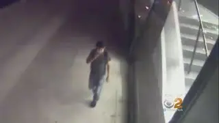 Hunt For Greenwich Village Rapist