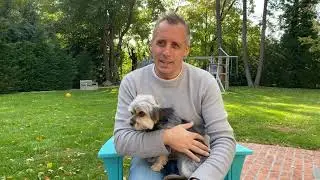 Meet the Gatto Pups: Spumoni from #LovePup