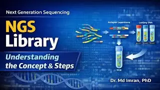 Next Generation Sequencing (NGS) Library: Understanding the Concept and Steps