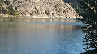 Relief Reservoir Fish Jumping out of the Water
