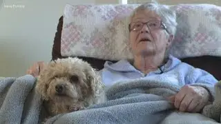 Man's best friend: Dog saves woman