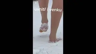 Kr&aacute;čej do nov&eacute;ho roku jinak:  