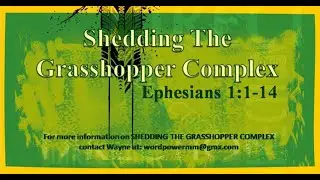 Shedding The Grasshopper Complex