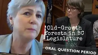 VIDEO - Old-Growth  questions to Forest Minister in the BC Legislature
