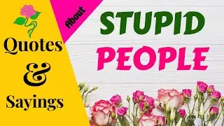 STUPID PEOPLE QUOTES AND SAYINGS