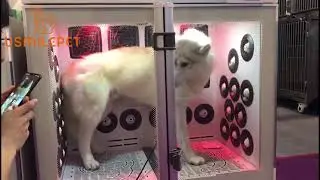 large dog dryer box