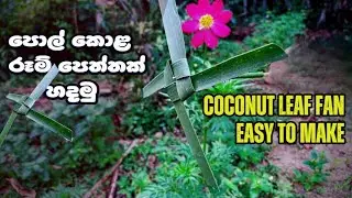 How To Make a Coconut Leaf Fan | පොල් කොළ රූම් පෙත්තක් හදමු