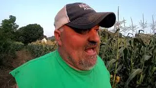 Keeping The Worms Out Of The Corn