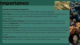 THE LOPHOPHORATES AND ENTOPROCTS Lampshells (Phylum Brachiopoda)ENE2233-BIOLOGI INVERTEBRATA
