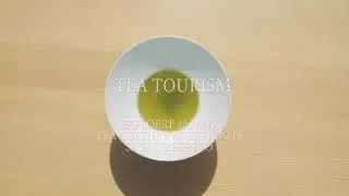 【TEA TOURISM】茶空間体験 ｜ 嬉野茶｜佐賀県嬉野市