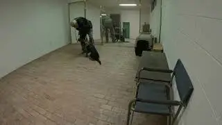 Дрессировка щенка в тренировочном зале Луи