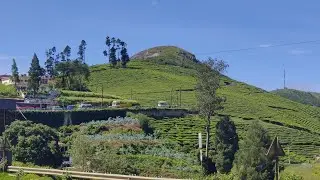 What makes Chikmagalur Coffee so special&hellip;?