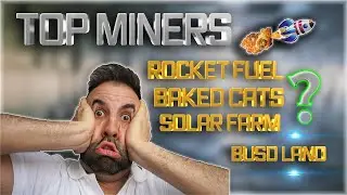 ROCKET FUEL, BAKED CATS, SOLAR FARM??? TOP 3 NEW FAST GROWING MINERS?! BUSD LAND... BONUS RISK PLAY?