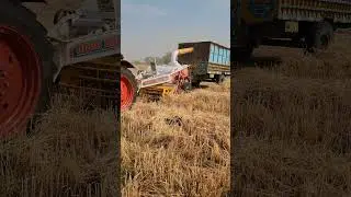Wheat Straw Chopper Machine Business in Pakistan #wheat #farming  #agriculture