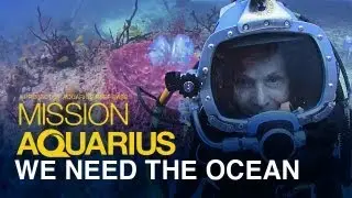 Why We Need The Ocean - Dr. Sylvia Earle at Aquarius