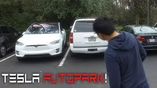 Tesla Self Parking - Say Goodbye to Parallelophobia!