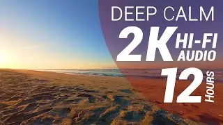 12 Hours of Waves Sounds - Pacific Beach (2K - Hi-Fi Audio - No Talking)