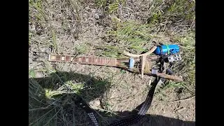 After the Goldrush (Prairie Punk Guitar)
