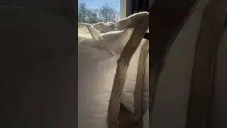 Thrifted Decorative Feather Pillows: Savings Money, Not Sacrificing Quality.