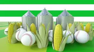 Covering every base in agriculture - CHS Field | CHS Inc.